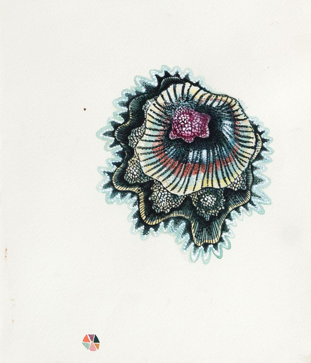 Topview jellyfish watercolour on