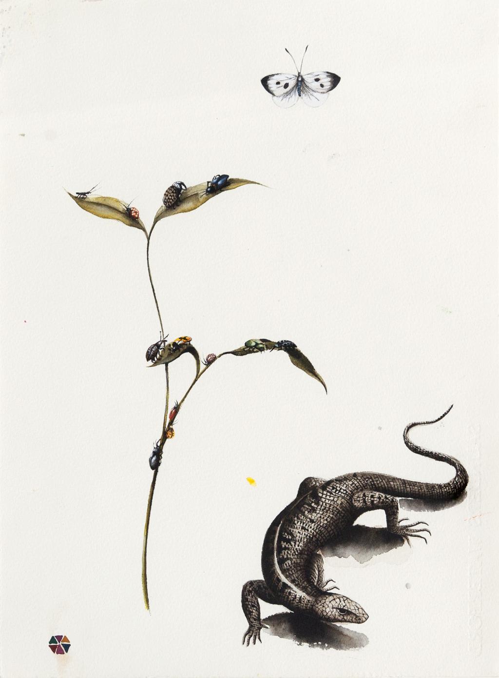 Lizard and insects watercolour on