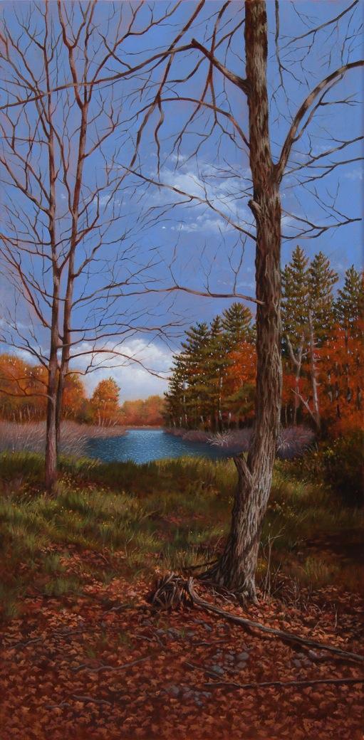 Palenville Beaver Pond 2010 Oil on canvas 12 x 24 inches Signed & Dated lower right: Carolyn H Edlund 2010 $2,200 This painting was