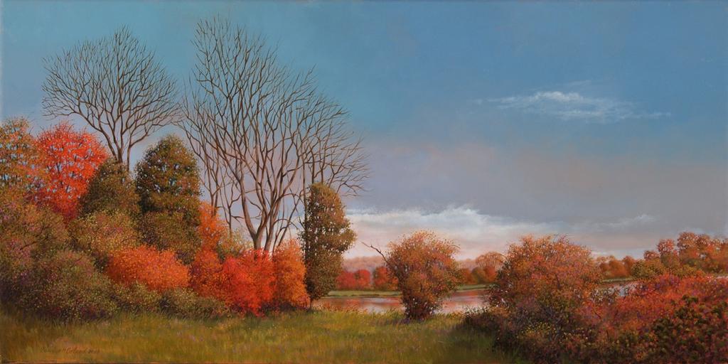 Pond at Wethersfield 2008 Oil on canvas 15 x 30 inches Signed & Dated lower left: Carolyn H Edlund 2008 $3,200 The mix of trees and