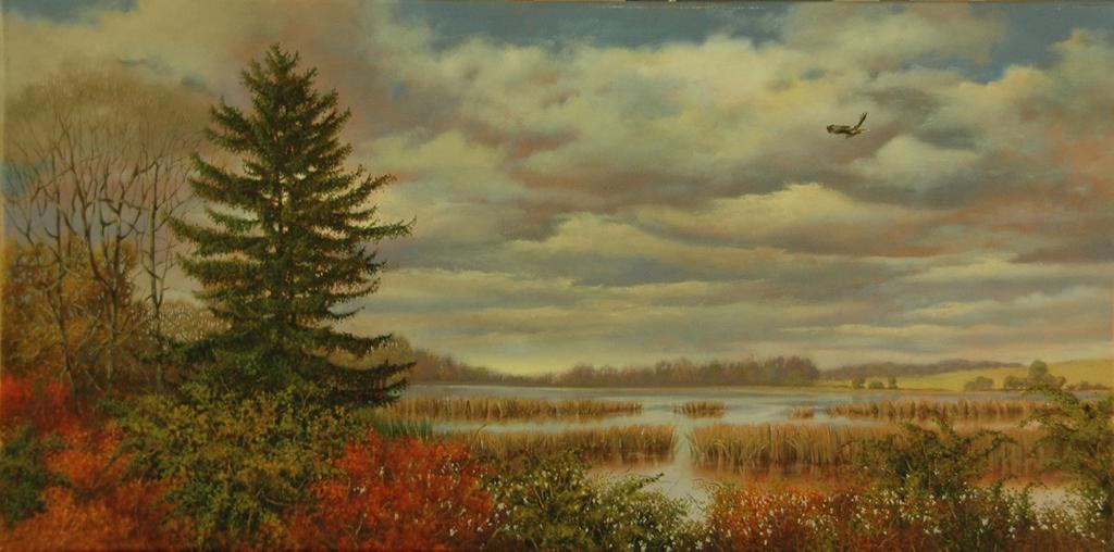 Bangall-Amenia Marsh 2008 Oil on canvas 15 x 30 inches
