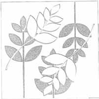 rice paper botany + seasons Folio s Botany texture features 2