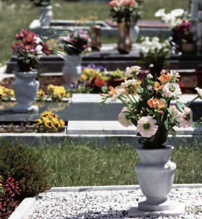 shrubs Place fresh seasonal flowers into the existing grave vase Provide before and after photographs and report on the memorial ADDITIONAL OPTIONS: Christmas Holly Crosses and Wreaths