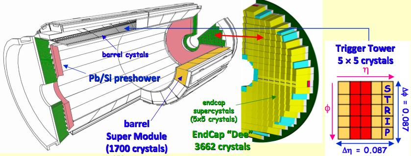 The CMS electromagnetic calorimeter 36 Supermodules, 1600 Crystal each 4 Endcap Dees, 3662 Crystals each 8 meters long