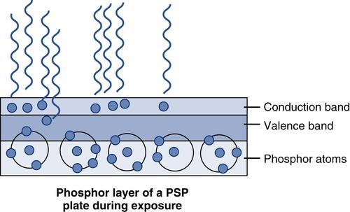Photostimulable Phosphor Plate (PSP) Used in CR ( ) When x-rays