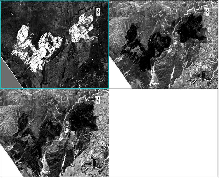 Notice that the brighter pixels in the Burn Area Index image (upper-left view) indicate burned areas, while darker pixels indicate burned areas in the Normalized Burn Ratio images. 1.