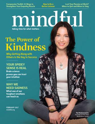 use and understanding of mindfulness in society.