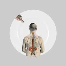 anatomica breakfast plate 8 (210mm) diameter fine bone china rim plate.