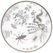 entomo (platinum) + 44 (0) 1782 373469 Entomo (platinum) dinner plate 10 (275mm) diameter fine bone china rim