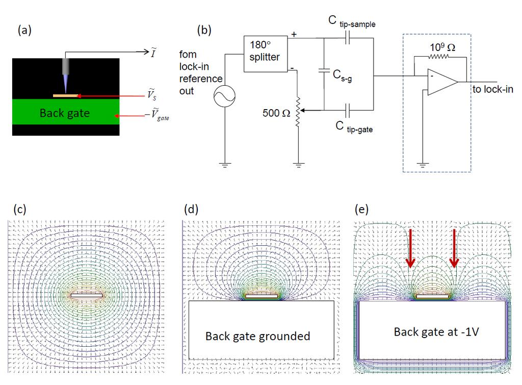 FIG.1. (Color online) Use of back gate in capacitance measurements. (a) Schematic experimental setup. (b) Equivalent circuit.