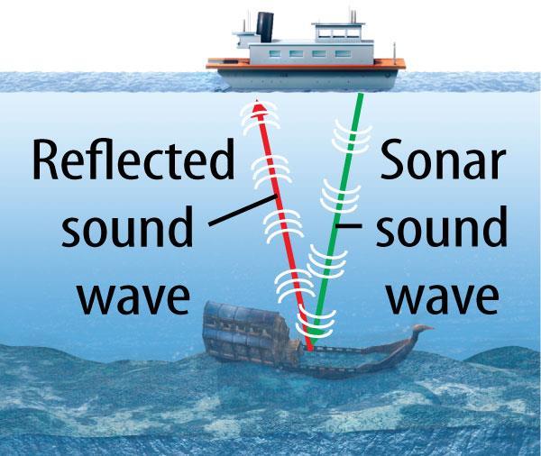 An echo is a reflected sound wave.