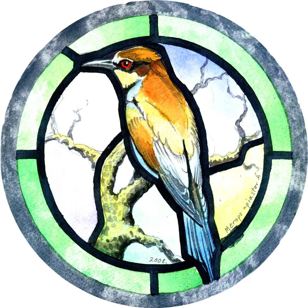 Glass Painting Techniques & Secrets from an English Stained Glass Studio by David Williams & Stephen Byrne Bee-eater Original design measures 8 1/2