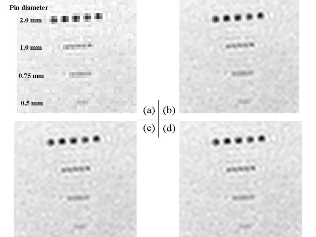 Fig. 10: Pin pattern images: (a) original image acquired with 256 256 mm FOV and 256 256 pixels matrix size, (b); (c); and (d)