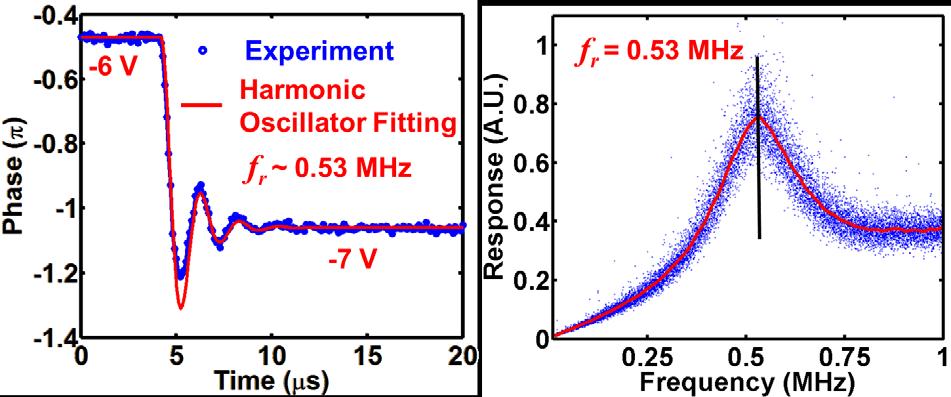 is truly in the sub-mhz region, which enables the possibility of using APF array for ultra-fast beam stirring.