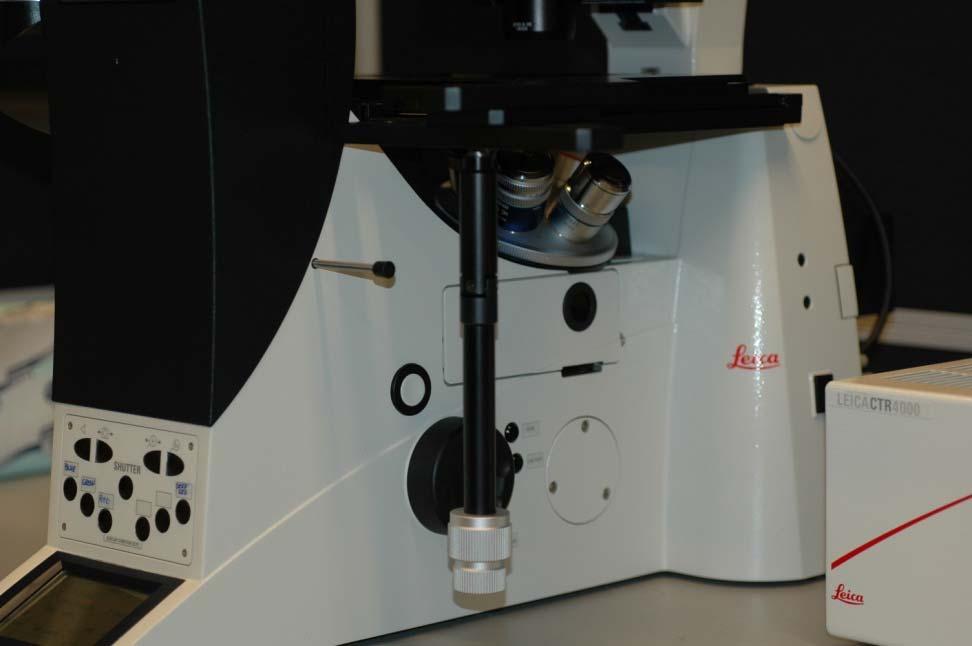 Microscope (right side) Choose your objective manually: HCX PL S-APO 5x 0.15 HCX PL APO 10x 0.30 N PLAN 10x 0.