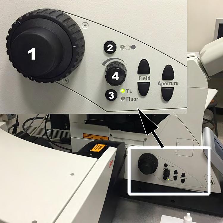 Overview of buttons on both sides of the microscope: Left side: 1) Focus knob: outer knob is the fine focus, inner knob is the coarse focus.