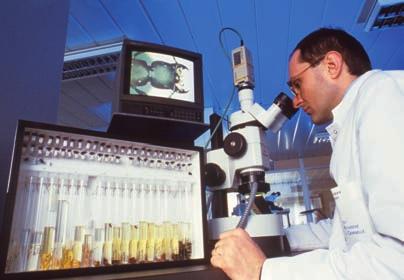 6-6 Microscopes on the Job Think About It In previous studies, you may have seen how biologists use microscopes. However, biologists are not the only people who need microscopes in their daily work.