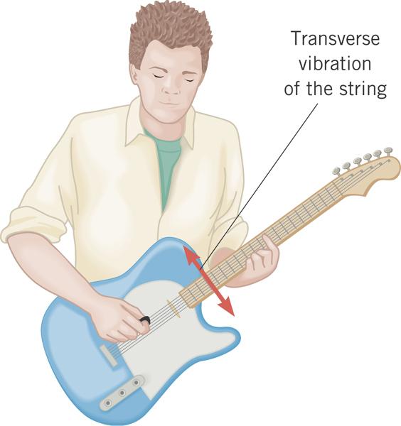 Waves Traveling on Guitar Strings Transverse waves travel on each string of an electric guitar after the string is plucked.