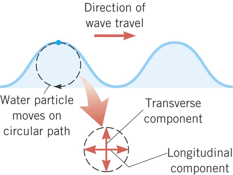 Water waves are partially