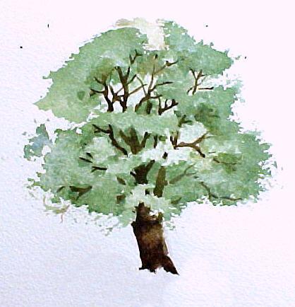 Keeping the trunk lighter at the bottom will allow you to paint in grasses or pretty flowers at the base of the tree. Try painting several of these trees using various green mixtures.