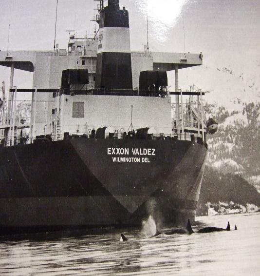 APEX, NVP) March 1989: tanker & Orcas Herring Research & Monitoring GOA Long-term