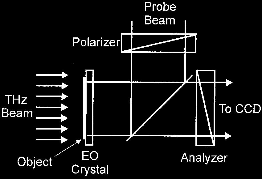 As shown in Fig. 5, the probe beam is reflected at the front surface of the EO crystal and then propagates with the terahertz beam colinearly inside the crystal.