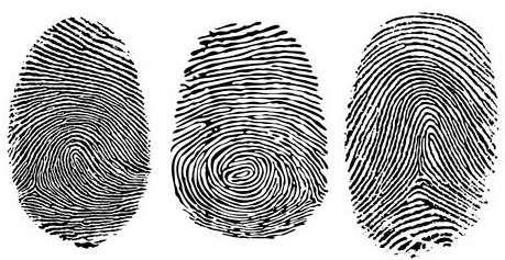 Even though identical twins have the same DNA, they have different fingerprints. 2. A fingerprint remains unchanged throughout life.