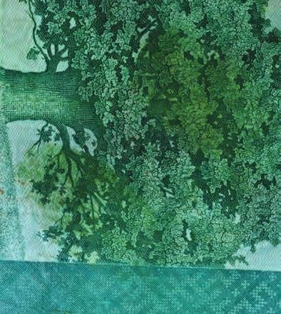 fingerprints on a densely patterned banknote dusted