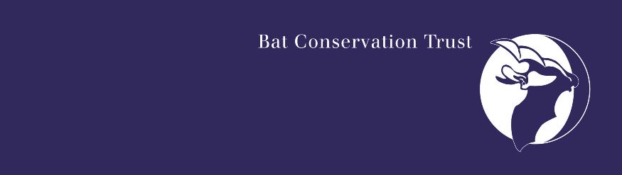 The Law and Bats Due to the decline in bat populations in the last century legislation protects all bats and their roosts in the UK. You should always seek advice, www.bats.org.