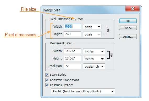 File Format and Image Size You can adjust an image s