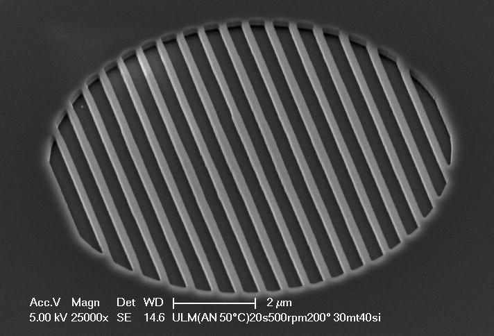 Figure 3: SEM picture of the imprinted area on the emission window. After RIE etching the grating is transferred to the top layer of the semiconductor stack.