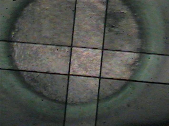 Detector selection was provided by a software-controlled flipper mirror. The microscope was equipped with a Ge micro-atr objective and a grazing angle objective.