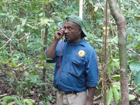 What is necessary for REDD+ Monitoring?