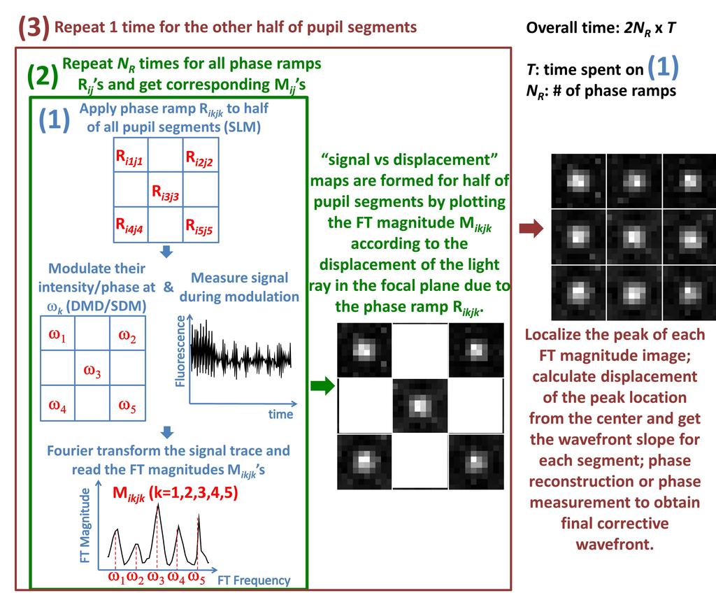 Supplementary Figure 2 Schematics describing the multiplexed aberration-measurement