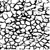 Through the reconstruction of grain boundaries images are prepared for automatic