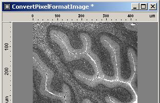 Imaging Plus The original image has been converted into a 16 bit black/white image.