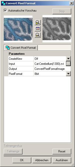 Imaging Plus Again select from the Processing menu the Utilities functional group, and then the Convert Pixel Format function.