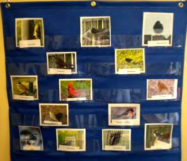 Bird Art An art project using scrapbook paper, construction paper, and feathers is a creative way to illustrate sighted birds.