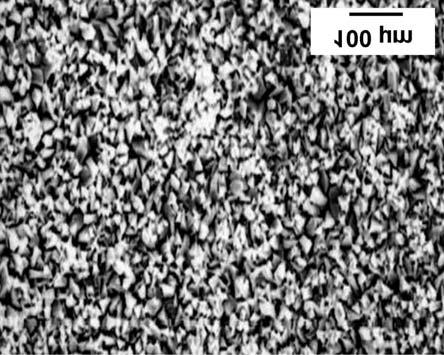 Y. Totik et al. / Kovove Mater. 45 2007 275 281 279 Fig. 6. SEM image of the manganese phosphate layer on surfaces of AISI 1045 steel. Fig. 8a,b.
