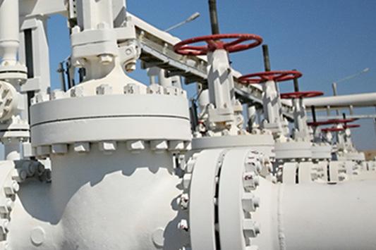 Raising Performance Together In the Oil & Gas Industry Flanges, Bw Fittings, Valves,