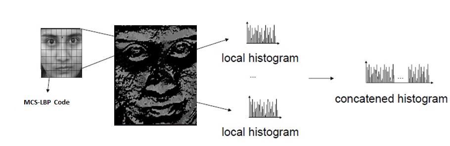 Operator. Figure 8. Histogram Extraction for 15 x 15 Regions The MCS-LBP method presented in the previous section is used for face description.