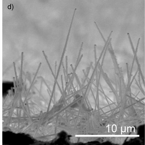 Example 2: Si nanowires Electrode Fabrication Cu current collector