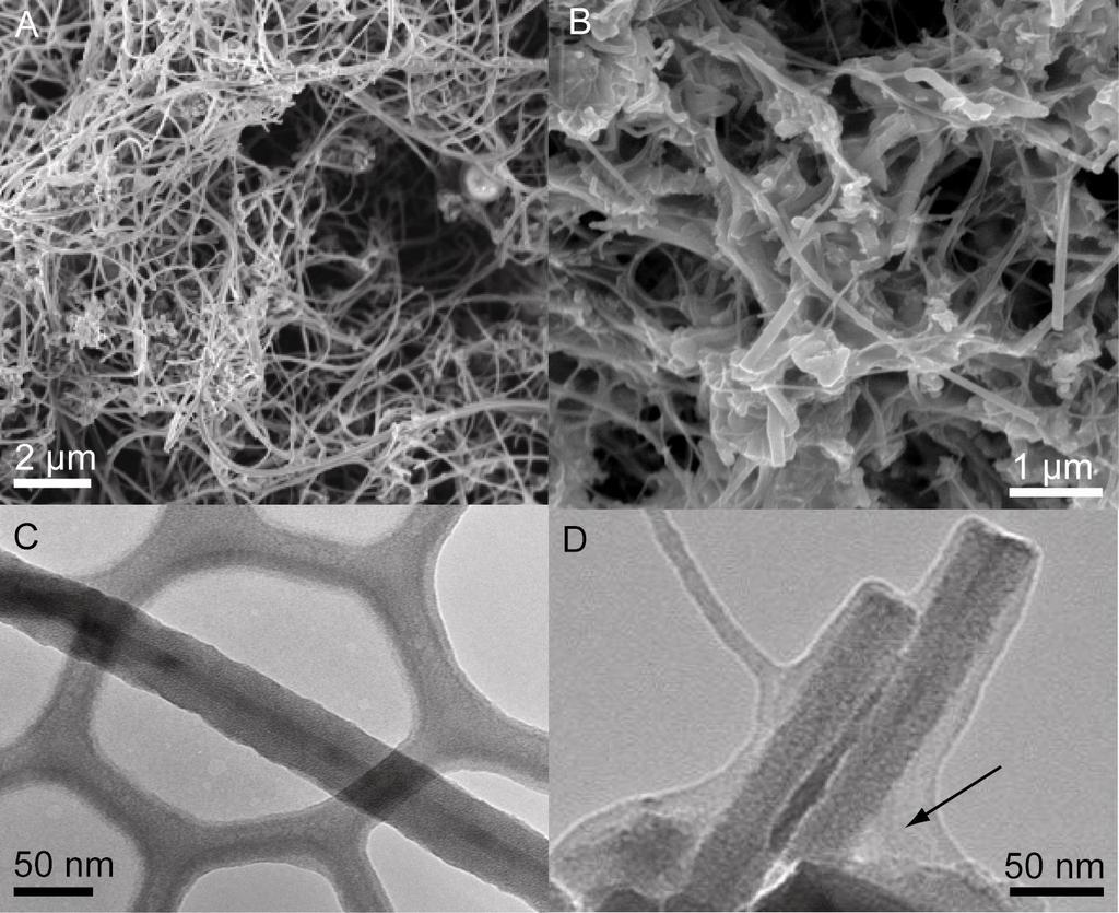 Example 2: Si nanowires Carbon Coating of Si Nanowires Uncoated