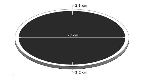 RUNNING A COMBAT GROUND: the Dohyo is circular, has a diameter of 77cm, a thickness of 2.2cm and a border of 2.5cm.