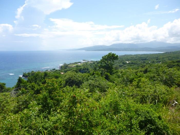 Jamaica An Island of Endemics Introduction Jamaica, third largest of the islands that comprise the West Indies, is also one of the richest in wildlife with extensive tracts of surviving rain forest,