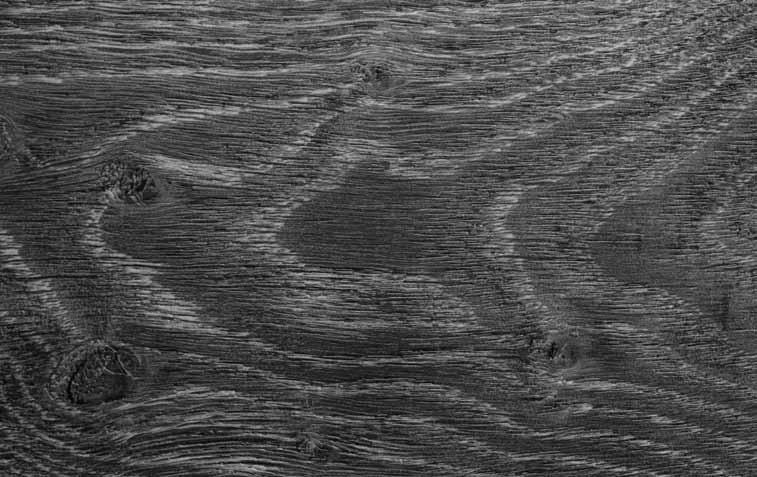 EMBOSS Discover ASPECTA TEN s stunning collection of in-register wood embosses.