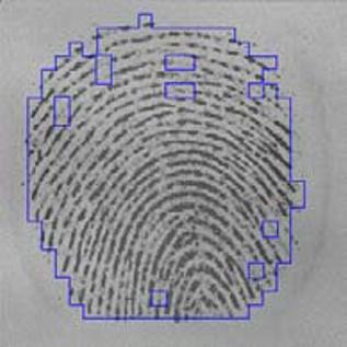 Segmentation of Fingerprint Images Using Linear Classifier 489 Before postprocessing. Afterpostprocessing. (c) Before postprocessing. (d) Afterpostprocessing.