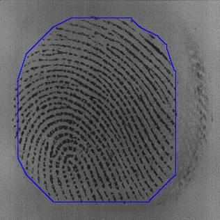 (c) Figure 21: Segmentation results of three fingerprints from FVC22 DB3 using our algorithm: is from the training data, and (c) are
