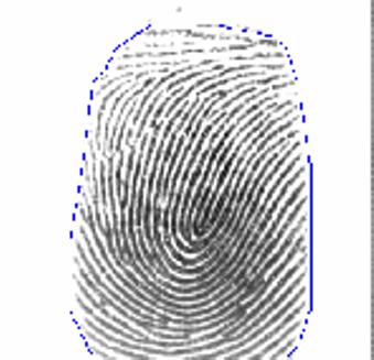 fingerprints from FVC22 DB1: is from the training