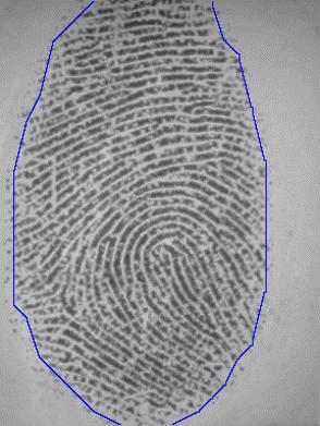 Segmentation of Fingerprint Images Using Linear Classifier 493 Table 5: Results of the